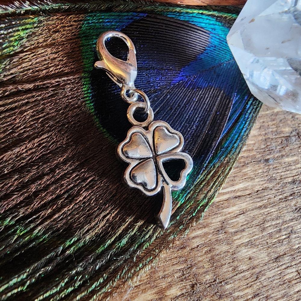 5/$25 Irish Shamrock Heart Charm for Bracelet St Patrick's Day Clover Bag Clip - Picture 1 of 13